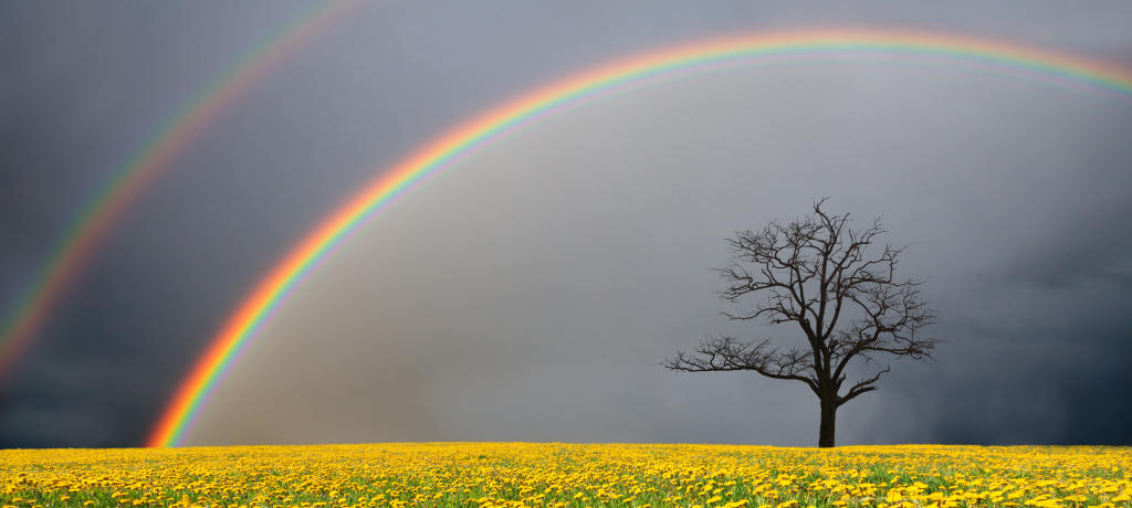 arcoiris